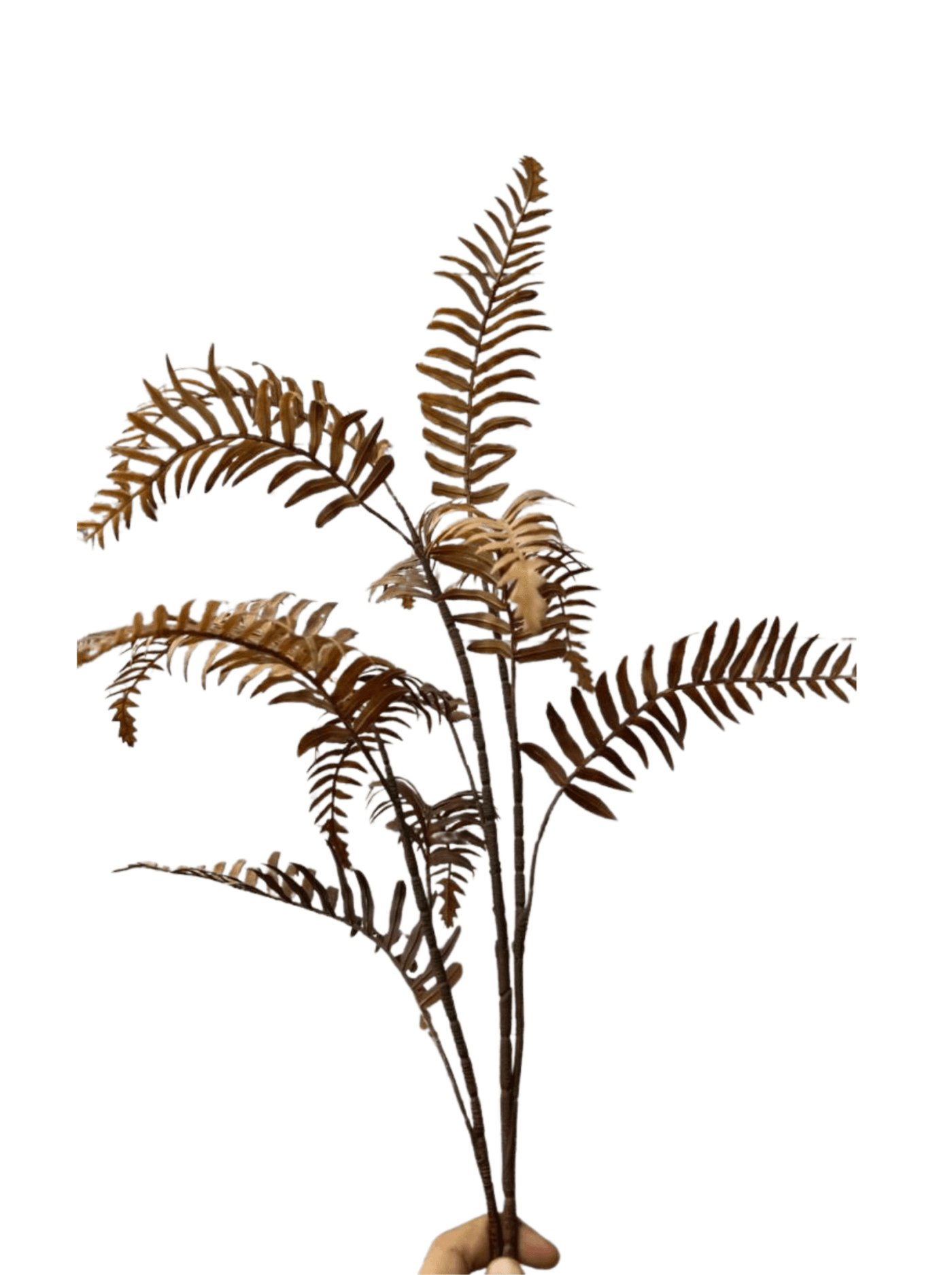 flower - Modera Decor
