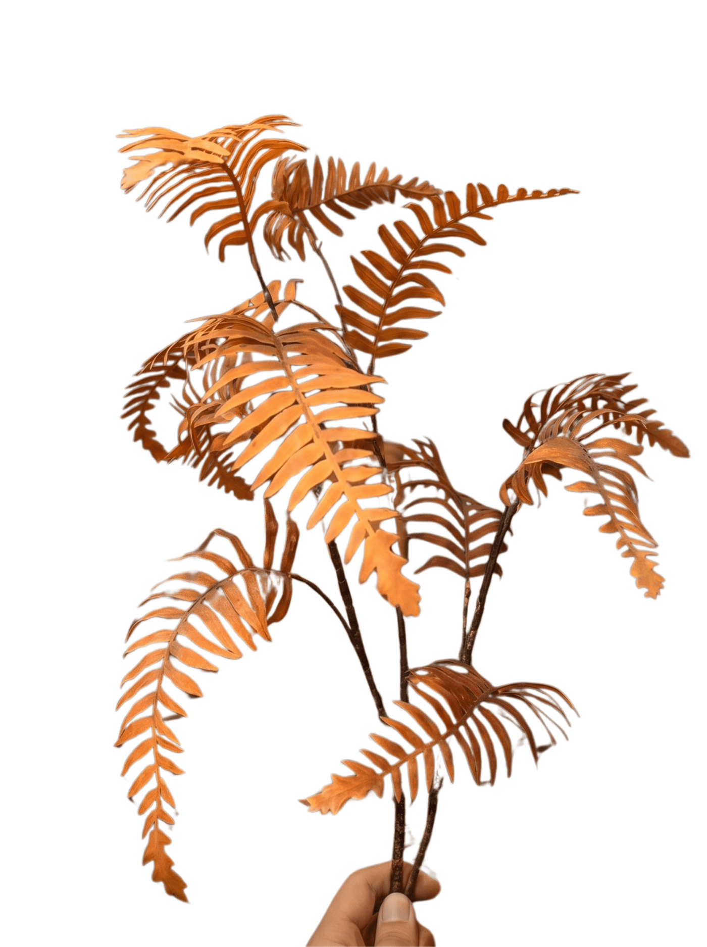 flower - Modera Decor