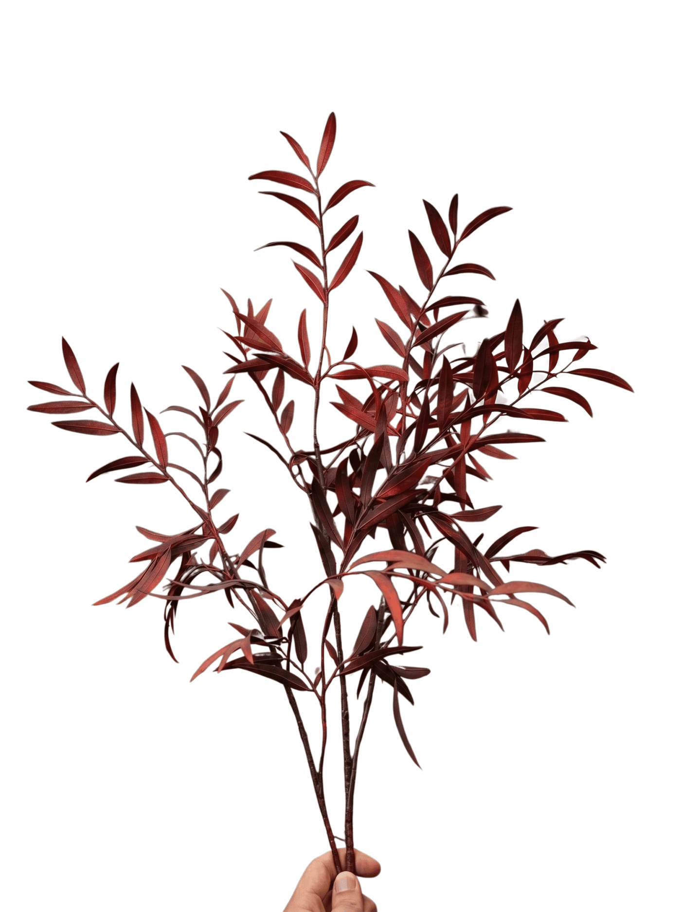 flower - Modera Decor