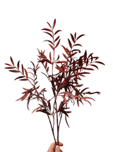 red flower