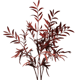 flower - Modera Decor
